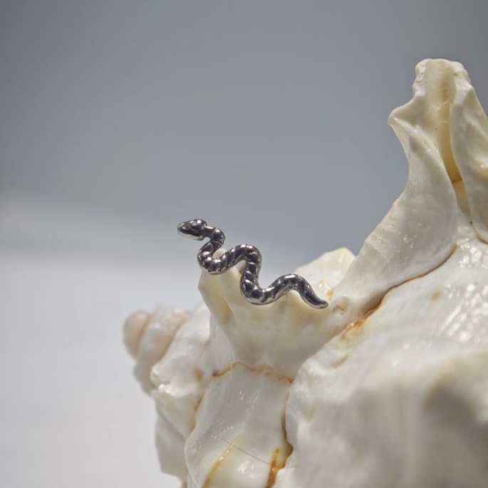 16G Tytanowy Pierścień do Pier – Body Jewelry Implants recenzja i cena